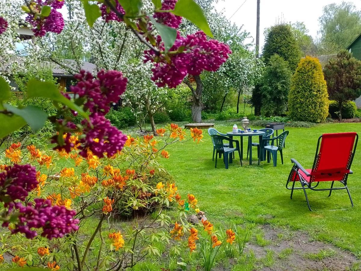 House, Garden & Sauna. Free Parking. Train Stop-200 M. Sea-1 Km. Jūrkalne Dış mekan fotoğraf